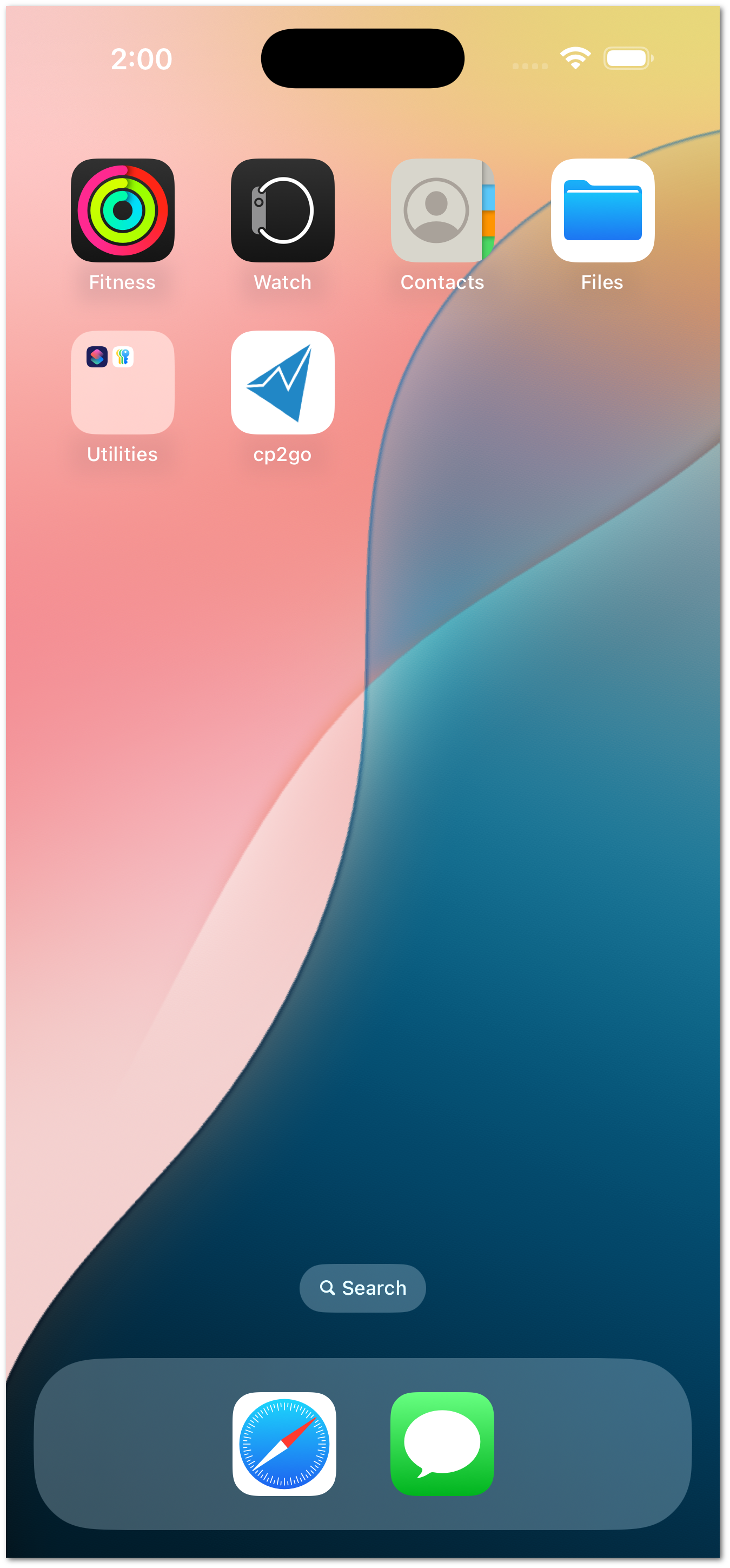 ../_images/iphone.launch.png