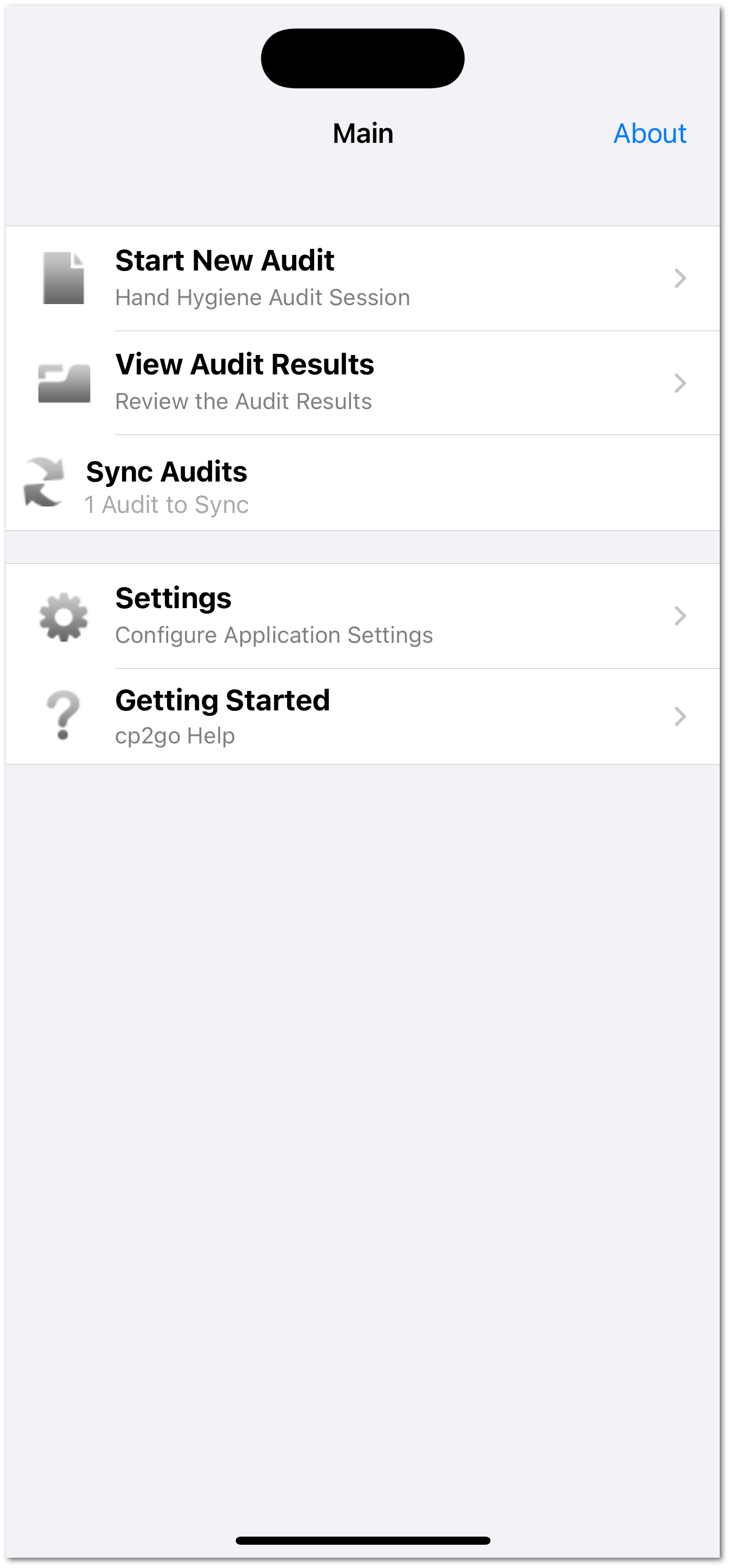 ../_images/iphone.main.completed.audit.png