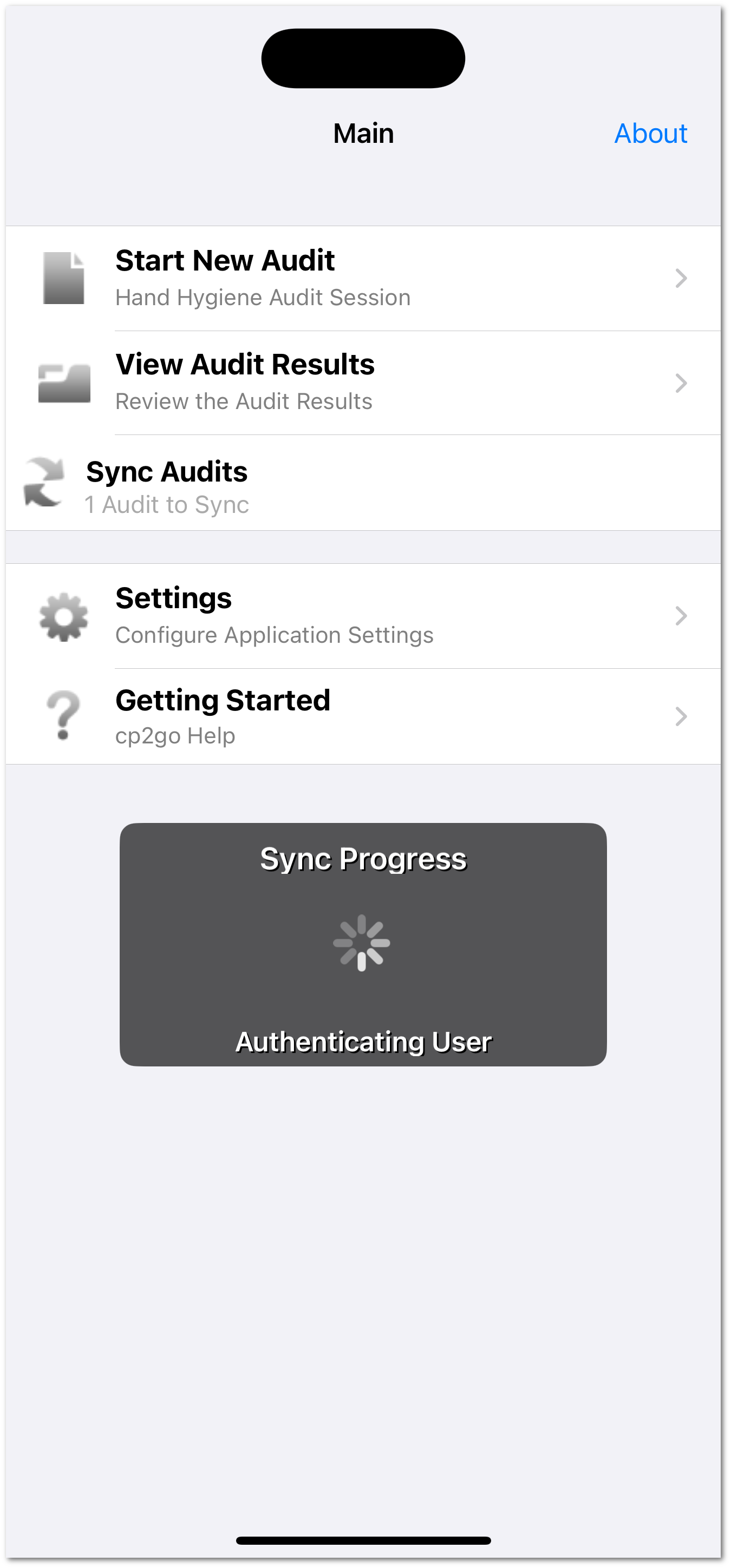 ../_images/iphone.sync.in.progress.png